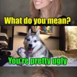 Pretty Punny Dialog | Am I pretty or ugly? You’re both; What do you mean? You’re pretty ugly; And you’re a dead dog; Pretty much | image tagged in anna and bad pun dog work together,memes,pretty,ugly,anna kendrick | made w/ Imgflip meme maker