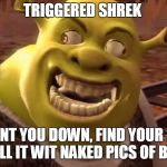 Shrek | TRIGGERED SHREK; WILL HUNT YOU DOWN, FIND YOUR SWAMP, AND FILL IT WIT NAKED PICS OF BILL NYE | image tagged in shrek | made w/ Imgflip meme maker