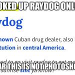 Raydog | LOOKED UP RAYDOG ONLINE; I SWEAR THIS IS NOT PHOTOSHOPPED | image tagged in raydog | made w/ Imgflip meme maker