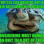 New meaning to the term "butt breath" | TURTLES CAN BREATHE OUT OF THEIR BUTT, WHICH IS INCREDIBLE; CONSIDERING MOST HUMANS CAN ONLY TALK OUT OF THEIRS | image tagged in seriously skeptical sea turtle | made w/ Imgflip meme maker