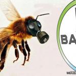 Bayer #1 killer of world bees