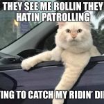 Gangsta Cat | THEY SEE ME ROLLIN
THEY HATIN
PATROLLING; TRYING TO CATCH MY RIDIN’ DIRTY | image tagged in gangsta cat | made w/ Imgflip meme maker