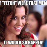 Fetch! | IF "FETCH" WERE THAT MEME; IT WOULD SO HAPPEN! | image tagged in fetch | made w/ Imgflip meme maker