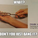 Tuning Fork: You're Doing It Wrong | WHAT? DON'T YOU JUST BANG IT? | image tagged in tuning fork,activate,bang,stroke,nurse | made w/ Imgflip meme maker
