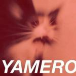 yamero cat