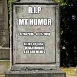 It's just a meme bro! | MY HUMOR; R.I.P; 1/28/2016 - 4/13/2018; KILLED BY TASTE IN BAD HUMOR AND BAD MEMES | image tagged in grave | made w/ Imgflip meme maker