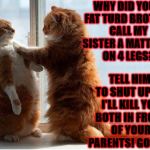 CONFRONTATION CAT | WHY DID YOUR FAT TURD BROTHER CALL MY SISTER A MATTRESS ON 4 LEGS? TELL HIM TO SHUT UP OR I'LL KILL YOU BOTH IN FRONT OF YOUR PARENTS! GOT IT? | image tagged in confrontation cat | made w/ Imgflip meme maker