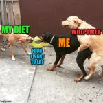 Why can't pasta be good for us? | MY DIET FOOD I WANT TO EAT ME WILLPOWER | image tagged in this is my life,memes,diet,willpower,self-control | made w/ Imgflip meme maker