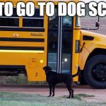 School Bus | TIME TO GO TO DOG SCHOOL. | image tagged in school bus | made w/ Imgflip meme maker