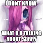 mlp loves to kill | I DONT KNOW; WHAT U R TALKING ABOUT SORRY | image tagged in mlp loves to kill | made w/ Imgflip meme maker