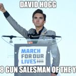 Heil David Hogg | DAVID HOGG; 2018 GUN SALESMAN OF THE YEAR | image tagged in heil david hogg | made w/ Imgflip meme maker