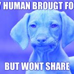 unamused dog | MY HUMAN BROUGT FOOD; BUT WONT SHARE | image tagged in unamused dog | made w/ Imgflip meme maker
