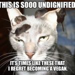 #1 best reason to eat meat. | THIS IS SOOO UNDIGNIFIED. IT’S TIMES LIKE THESE THAT I REGRET BECOMING A VEGAN. | image tagged in cat and mouse | made w/ Imgflip meme maker