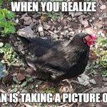 conscious_chicken | WHEN YOU REALIZE; HUMAN IS TAKING A PICTURE OF YOU | image tagged in conscious_chicken | made w/ Imgflip meme maker