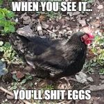 conscious_chicken | WHEN YOU SEE IT... YOU'LL SHIT EGGS | image tagged in conscious_chicken | made w/ Imgflip meme maker