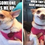 angry calm dog | WHEN THEY SAY THEY HAVE BREAKFAST READY; WHEN SOMEONE WAKES ME UP | image tagged in angry calm dog | made w/ Imgflip meme maker