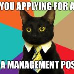 Work | ARE YOU APPLYING FOR A JOB; OR FOR A MANAGEMENT POSITION? | image tagged in manager cat,job,work,manager,management | made w/ Imgflip meme maker