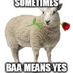 Don't let them pull the wool over your eyes | SOMETIMES; BAA MEANS YES | image tagged in memes,sheep | made w/ Imgflip meme maker