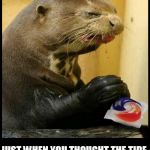 tide pod otter | JUST WHEN YOU THOUGHT THE TIDE POD CHALLENGE CRAZE  WAS OVER | image tagged in tide pod otter,tide pod challenge,tide pods,otter,tide pods gene pool,eating | made w/ Imgflip meme maker
