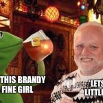 Harold and Kermit at the Oasis Lounge | MMMM THIS BRANDY IS A FINE GIRL; *LETS OUT A LITTLE WHINE* | image tagged in harold and kermit at the oasis lounge,memes,hide the pain harold,kermit the frog,but thats none of my business | made w/ Imgflip meme maker