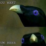 you want sum fuk | YOU WANT; SUM BEER | image tagged in you want sum fuk | made w/ Imgflip meme maker