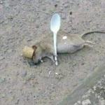 Ratatouille Dead meme