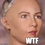 AI robot lady weird face | WTF | image tagged in ai robot lady weird face | made w/ Imgflip meme maker