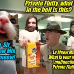 God Bless Ermey 1944-2018 | Private Fluffy, what in the hell is this? La  Sir Meow Mix Sir, meow! La Meow Mix? What is your major malfunction Private Fluffy? | image tagged in r lee ermey  private fluffy,memes,evilmandoevil,dashhopes,fluffy,funny | made w/ Imgflip meme maker