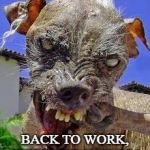 Monday's spirit animal. | WHAT DO YOU MEAN; BACK TO WORK, WEEKEND IS OVER? | image tagged in monday's spirit animal | made w/ Imgflip meme maker