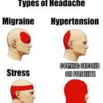 coming second on fortnite | COMING SECOND ON FORTNITE | image tagged in types of headaches,fortnite | made w/ Imgflip meme maker