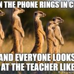 Meerkat | WHEN THE PHONE RINGS IN CLASS; AND EVERYONE LOOKS AT THE TEACHER LIKE | image tagged in meerkat | made w/ Imgflip meme maker
