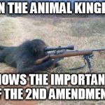 monkeys n guns | EVEN THE ANIMAL KINGDOM; KNOWS THE IMPORTANCE OF THE 2ND AMENDMENT. | image tagged in monkeys n guns | made w/ Imgflip meme maker