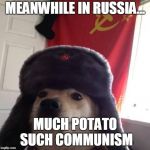 Doggo in soviet Russia... | MEANWHILE IN RUSSIA... MUCH POTATO SUCH COMMUNISM | image tagged in doggo in soviet russia | made w/ Imgflip meme maker