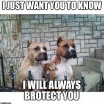 Don't Worry Bro | I JUST WANT YOU TO KNOW; I WILL ALWAYS BROTECT YOU | image tagged in don't worry bro | made w/ Imgflip meme maker