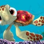 Squirt finding nemo