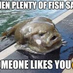 gross fish | WHEN PLENTY OF FISH SAYS; SOMEONE LIKES YOU😉 | image tagged in gross fish | made w/ Imgflip meme maker