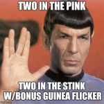 Amok Time Spock Vulcan salute pic | TWO IN THE PINK; TWO IN THE STINK W/BONUS GUINEA FLICKER | image tagged in amok time spock vulcan salute pic | made w/ Imgflip meme maker
