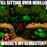 Donkey Kong | STILL SITTING OVER HERE LIKE; WHERE'S MY REMASTER? | image tagged in donkey kong | made w/ Imgflip meme maker