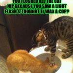 PARANOID STONER | LOOK IN THERE STUPID! WHAT DO YOU SEE? NOTHING RIGHT? YOU FLUSHED ALL THE CAT NIP BECAUSE YOU SAW A LIGHT FLASH & THOUGHT IT WAS A COP? GUESS WHO'S TAKING A TRIP TO THE SEWER TONIGHT? | image tagged in paranoid stoner | made w/ Imgflip meme maker
