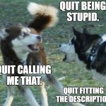 Tikka skimo Argue | QUIT BEING STUPID. QUIT CALLING ME THAT. QUIT FITTING THE DESCRIPTION. | image tagged in tikka skimo argue | made w/ Imgflip meme maker