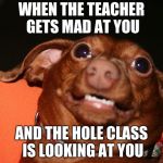 Guys Im Sorry | WHEN THE TEACHER GETS MAD AT YOU; AND THE HOLE CLASS IS LOOKING AT YOU | image tagged in guys im sorry | made w/ Imgflip meme maker