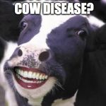 Laughing Cow | DO YOU WANT MAD COW DISEASE? | image tagged in laughing cow | made w/ Imgflip meme maker
