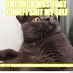 Cat WTF | THE HECK WAS THAT DUDE! I SHIT MY SELF; YOUR NOT MY DAAAAAAAAAAAAAAAAAAAAAAAAAAAAAAAAAAAAAAAAAAD | image tagged in cat wtf | made w/ Imgflip meme maker