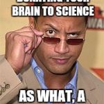 Brains | I HEARD YOU WERE DONATING YOUR BRAIN TO SCIENCE; AS WHAT, A PAPERWEIGHT? | image tagged in raised eyebrow,donating to science,funny rock,paperweight | made w/ Imgflip meme maker
