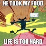 Wile E Coyote falling off of cliff | HE TOOK MY FOOD; LIFE IS TOO HARD | image tagged in wile e coyote falling off of cliff | made w/ Imgflip meme maker