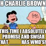 Only extraordinary stupidity keeps falling for the same lies over and over and over again, and never learns | OH CHARLIE BROWN... THIS TIME I ABSOLUTELY PROMISE AND SWEAR THAT ____ HAS WMD'S!!! | image tagged in lucy football and charlie brown,weapons,nukes | made w/ Imgflip meme maker
