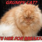 Reposting to correct! Grumpy cat is just an angry feminist!  That explains A LOT!  Worry not! Angry cat ate HER for breakfast! | GRUMPY CAT? I ATE HER FOR BREAKFAST. | image tagged in bigger and better grumpy cat,angry cat,memes,grumpy cat is an angry feminist | made w/ Imgflip meme maker
