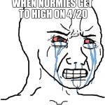 Normie | WHEN NORMIES GET TO HIGH ON 4/20 | image tagged in normie | made w/ Imgflip meme maker