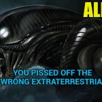 Dumbed down movie titles for the new millennium | ALIENS; YOU PISSED OFF THE WRONG EXTRATERRESTRIAL; PART TWO | image tagged in alien,special kind of stupid,millenials,dumb and dumber | made w/ Imgflip meme maker