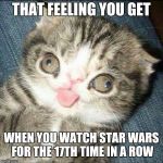 Derp Cat | THAT FEELING YOU GET; WHEN YOU WATCH STAR WARS FOR THE 17TH TIME IN A ROW | image tagged in derp cat | made w/ Imgflip meme maker
